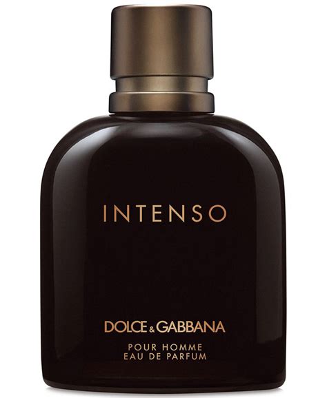 intenso dolce and gabbana macy's